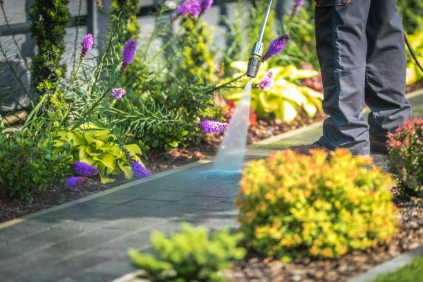 Best Gutter Cleaning  in Osborne, KS